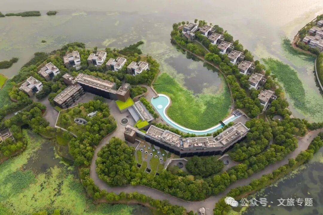 ： 健康比金钱重要!疗愈酒店会成为下一个兵家必争之地吗？pg电子中国网站2025高净值人群消费报告、疗愈行业报告(图8)